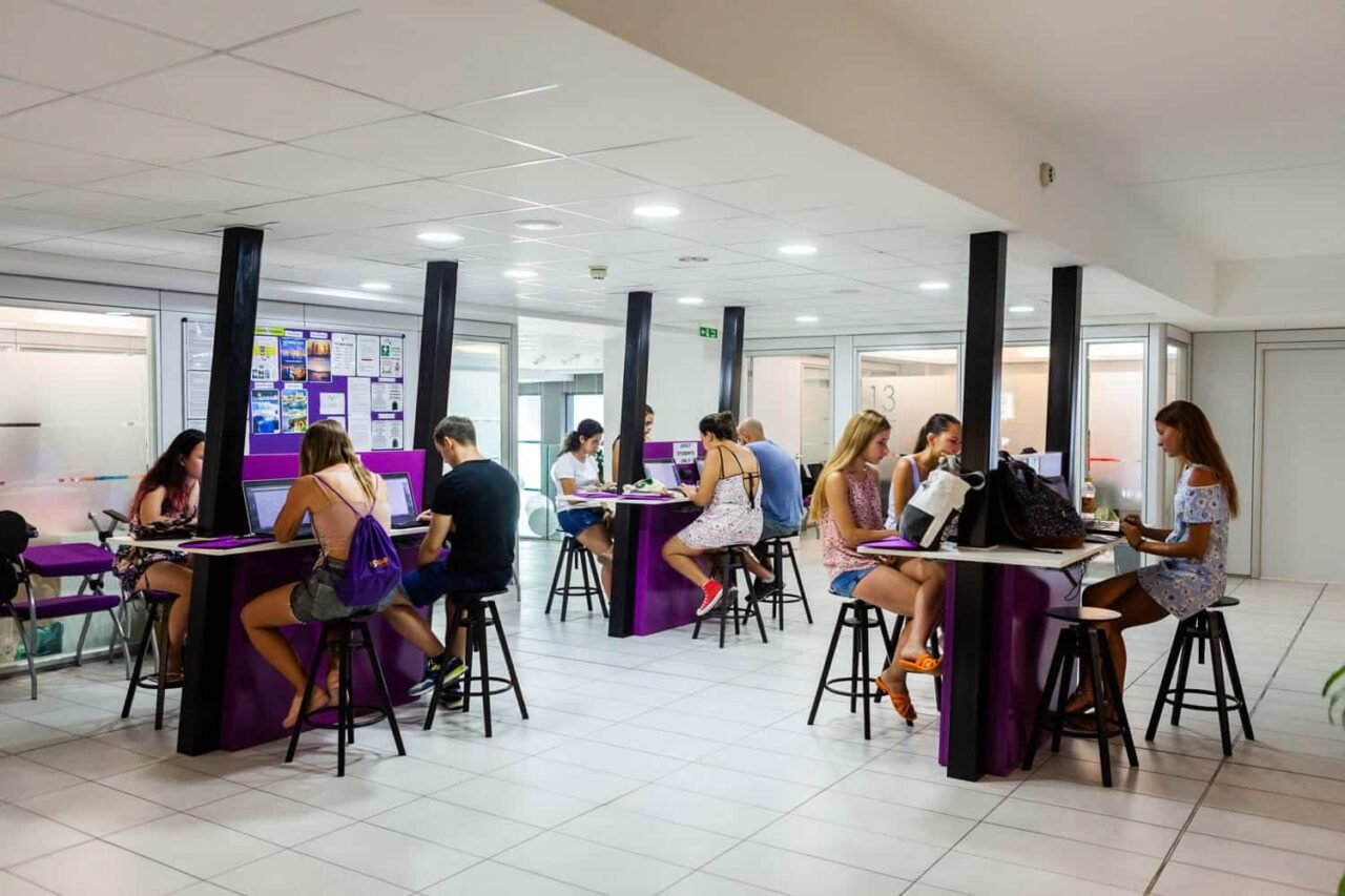 ace malta dil okulu ace malta dil okulu